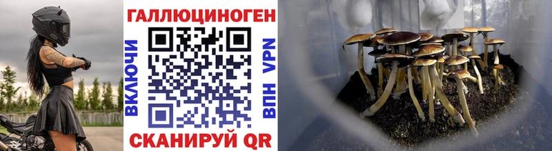 продажа наркотиков Верхний Тагил Псилоцибиновые грибы MAGIC MUSHROOMS